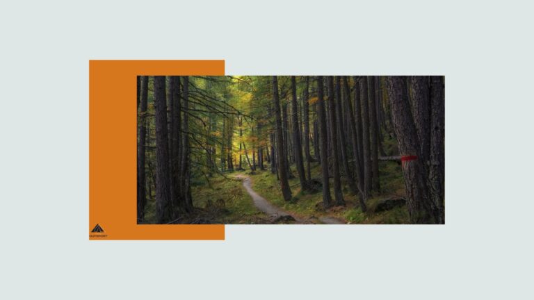 Programme d&rsquo;entraînement pour un Trail de 20 km