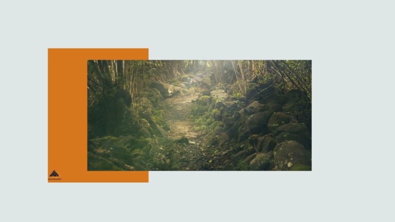 Programme d&rsquo;entraînement pour un trail de 50 km