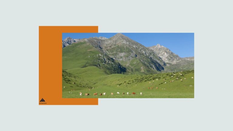 Randonnée dans les Alpes