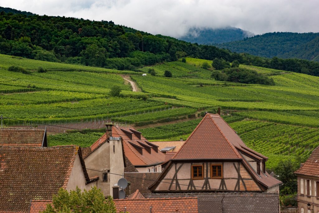 Les Randonneurs Fines Gueules : Une Aventure Gustative au Cœur de la Nature 2 Ferme-auberge Les Randonneurs Fines Gueules