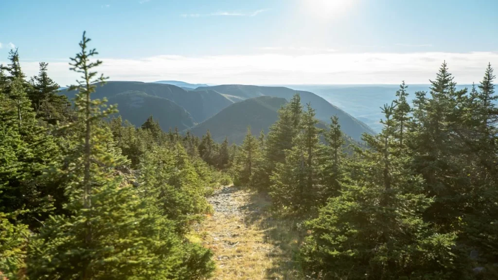 Tout ce que vous devez savoir avant de vous lancer sur le Sentier des Appalaches 3 sentier international des appalaches