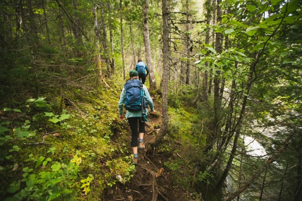 Tout ce que vous devez savoir avant de vous lancer sur le Sentier des Appalaches 6 Randonnée sentier des Appalaches